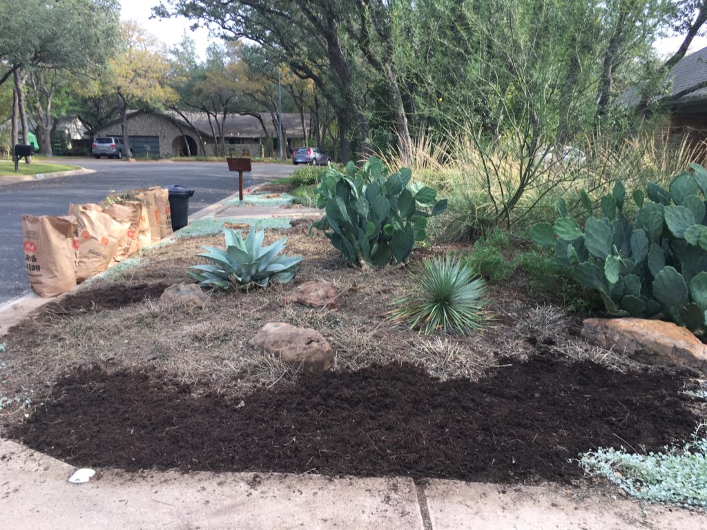 Picture of Kimbol's front yard, -without- xexmania growth.