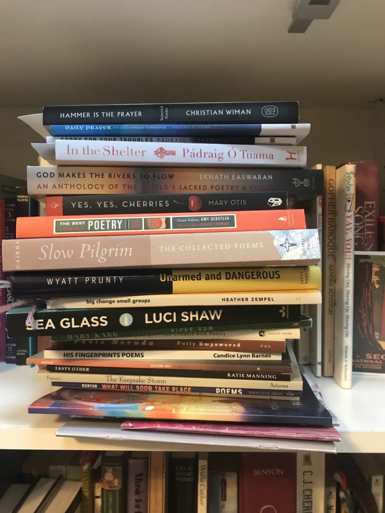 a group of twenty? poem-books in a horizontal stack on a bookshelf