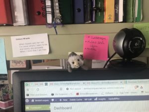 The top edge of my computer monitor holds many things, including a stuffed monkey